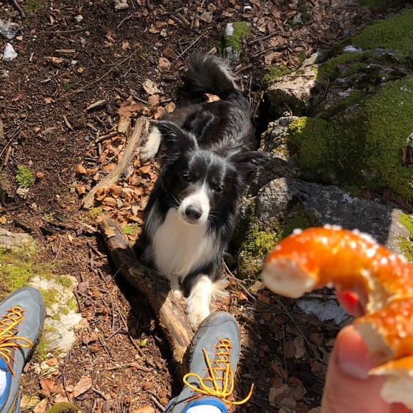 Meet your Posher, Jordan - Picture 1 of 1